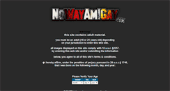 Desktop Screenshot of nowayamigay.com